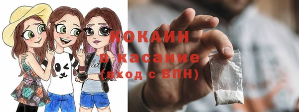 бошки Бронницы