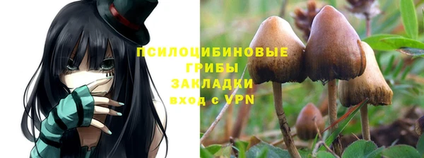 мдпв Бугульма