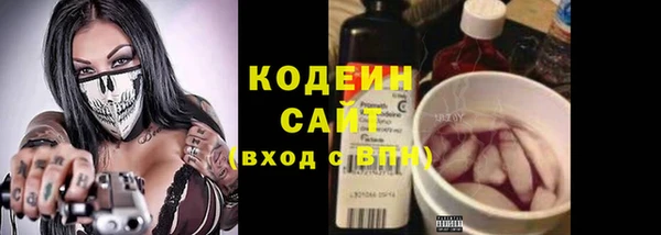 мдпв Бугульма
