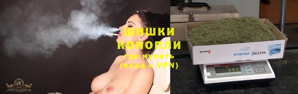бошки Бронницы