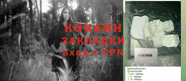 бошки Бронницы