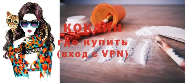 бошки Бронницы
