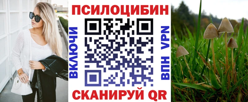 Псилоцибиновые грибы прущие грибы  цена   Мытищи 