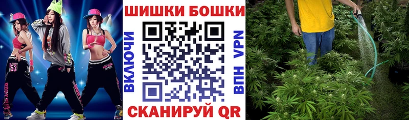 закладки  Мытищи  Марихуана гибрид 
